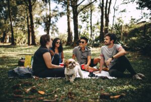 People and dog at a picnic