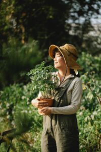 Woman wearing hat holding a potted plant